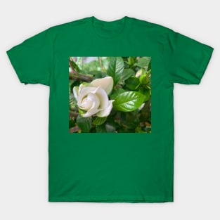 Gardenia flower T-Shirt
